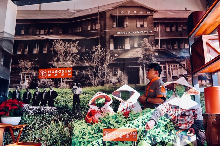 南投旅遊景點/魚池Hugosum和菓森林紅茶莊園，歡迎來鹿篙喝好茶結好果 - Ann‧榜哥‧生活事務所