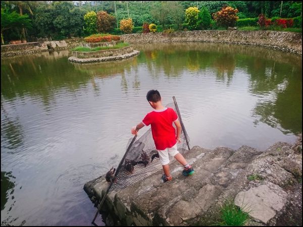 五溝水聚落-半月池