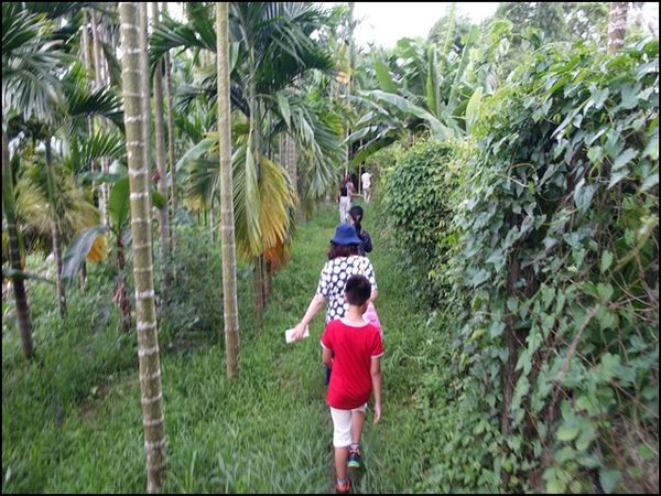 1529762233924-五溝水聚落