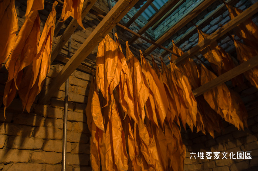 ｜屏東景點｜六堆客家文化園區，六堆小星球互動式遊戲區、親水河道、沙坑，通通免費讓你玩 - 阿婷的旅行札記。