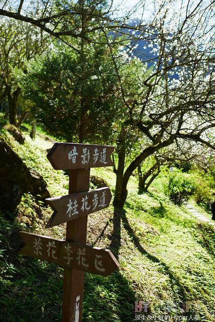 桃李河畔 – 台中新社門半日遊景觀餐廳,門票可全抵用餐消費,戶外歡迎寵物。桂花、金針花、李花、梅花、櫻花一次GET! 春天還可以看螢火蟲哦! @強生與小吠的Hyper人蔘~