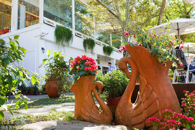 桃李河畔 – 台中新社門半日遊景觀餐廳,門票可全抵用餐消費,戶外歡迎寵物。桂花、金針花、李花、梅花、櫻花一次GET! 春天還可以看螢火蟲哦! @強生與小吠的Hyper人蔘~