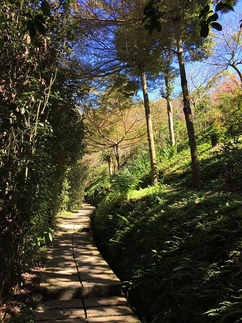 桃李河畔 – 台中新社門半日遊景觀餐廳,門票可全抵用餐消費,戶外歡迎寵物。桂花、金針花、李花、梅花、櫻花一次GET! 春天還可以看螢火蟲哦! @強生與小吠的Hyper人蔘~