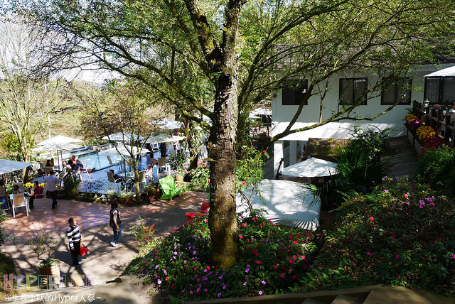 桃李河畔 – 台中新社門半日遊景觀餐廳,門票可全抵用餐消費,戶外歡迎寵物。桂花、金針花、李花、梅花、櫻花一次GET! 春天還可以看螢火蟲哦! @強生與小吠的Hyper人蔘~