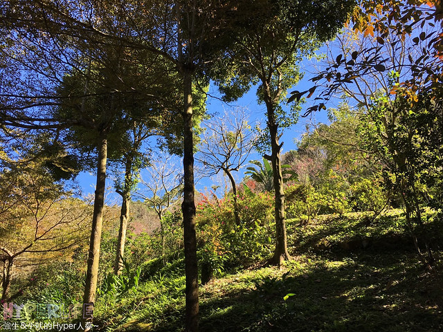 桃李河畔 – 台中新社門半日遊景觀餐廳,門票可全抵用餐消費,戶外歡迎寵物。桂花、金針花、李花、梅花、櫻花一次GET! 春天還可以看螢火蟲哦! @強生與小吠的Hyper人蔘~