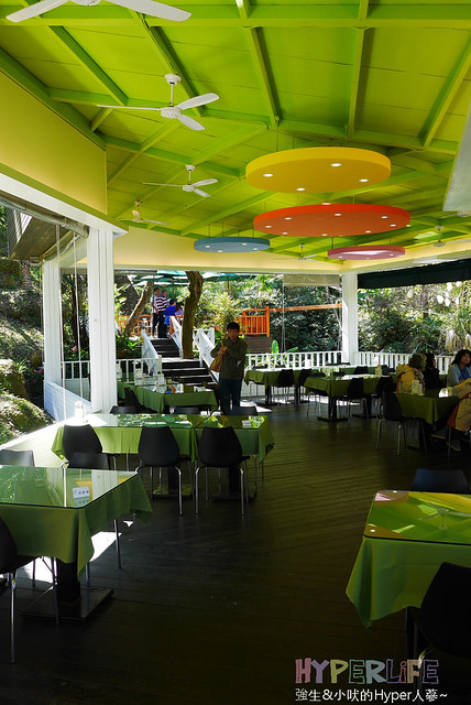 桃李河畔 – 台中新社門半日遊景觀餐廳,門票可全抵用餐消費,戶外歡迎寵物。桂花、金針花、李花、梅花、櫻花一次GET! 春天還可以看螢火蟲哦! @強生與小吠的Hyper人蔘~