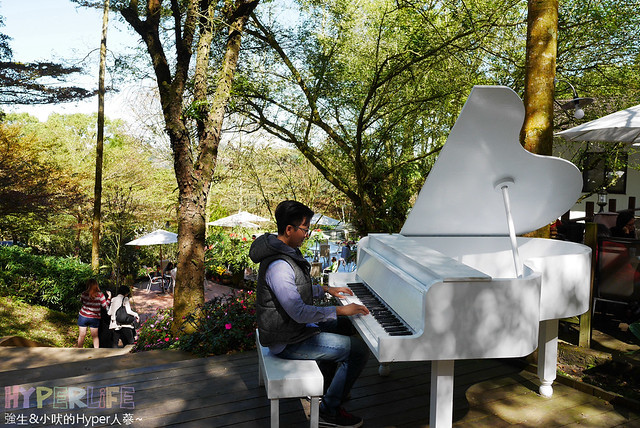 桃李河畔 – 台中新社門半日遊景觀餐廳,門票可全抵用餐消費,戶外歡迎寵物。桂花、金針花、李花、梅花、櫻花一次GET! 春天還可以看螢火蟲哦! @強生與小吠的Hyper人蔘~