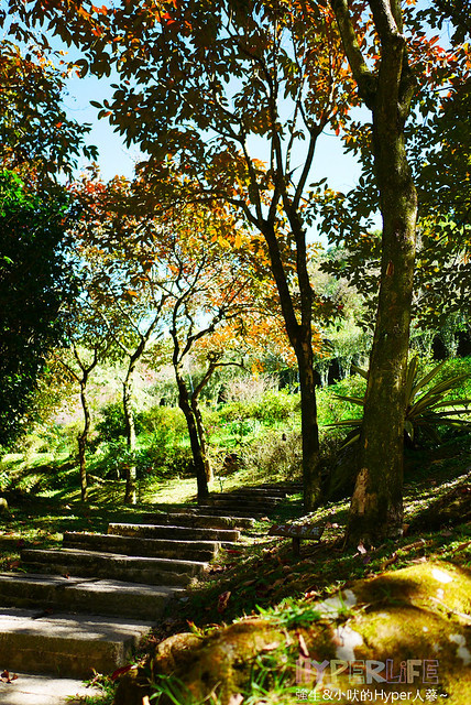 桃李河畔 – 台中新社門半日遊景觀餐廳,門票可全抵用餐消費,戶外歡迎寵物。桂花、金針花、李花、梅花、櫻花一次GET! 春天還可以看螢火蟲哦! @強生與小吠的Hyper人蔘~
