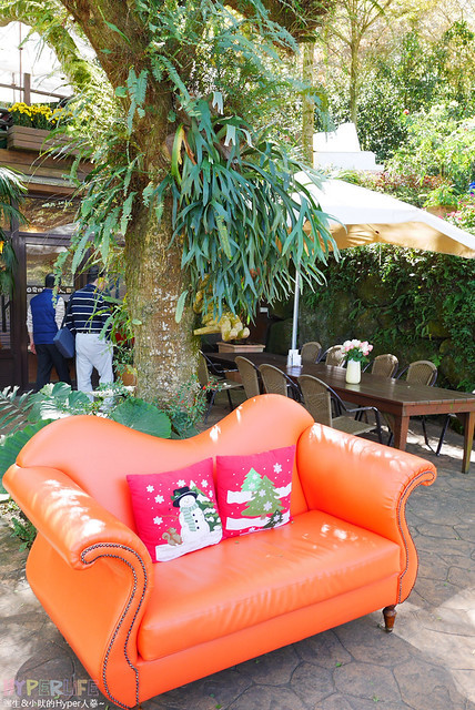 桃李河畔 – 台中新社門半日遊景觀餐廳,門票可全抵用餐消費,戶外歡迎寵物。桂花、金針花、李花、梅花、櫻花一次GET! 春天還可以看螢火蟲哦! @強生與小吠的Hyper人蔘~