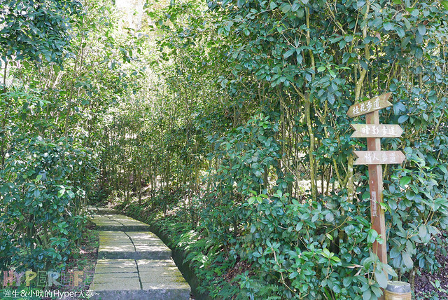 桃李河畔 – 台中新社門半日遊景觀餐廳,門票可全抵用餐消費,戶外歡迎寵物。桂花、金針花、李花、梅花、櫻花一次GET! 春天還可以看螢火蟲哦! @強生與小吠的Hyper人蔘~