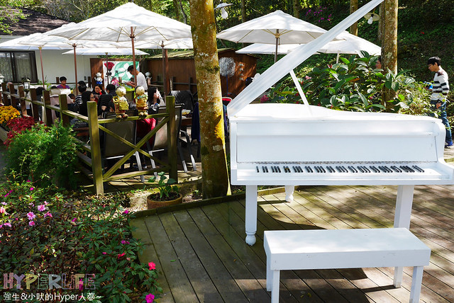 桃李河畔 – 台中新社門半日遊景觀餐廳,門票可全抵用餐消費,戶外歡迎寵物。桂花、金針花、李花、梅花、櫻花一次GET! 春天還可以看螢火蟲哦! @強生與小吠的Hyper人蔘~