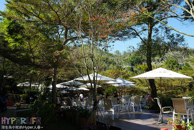 桃李河畔 – 台中新社門半日遊景觀餐廳,門票可全抵用餐消費,戶外歡迎寵物。桂花、金針花、李花、梅花、櫻花一次GET! 春天還可以看螢火蟲哦! @強生與小吠的Hyper人蔘~