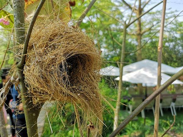 (台中/新社) 桃李河畔 - COCO享天下(隆爸妤媽愛白白)