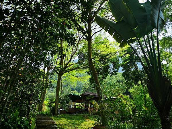 (台中/新社) 桃李河畔 - COCO享天下(隆爸妤媽愛白白)