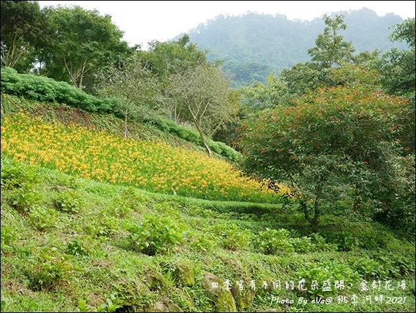 桃李河畔-41.jpg 桃李河畔-41.jpg