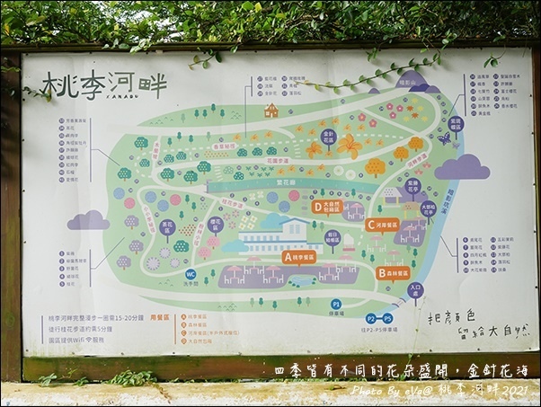 桃李河畔-04.jpg 桃李河畔-04.jpg
