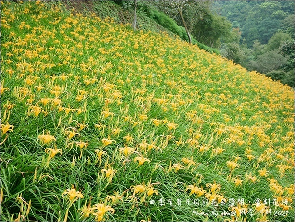 桃李河畔-42.jpg 桃李河畔-42.jpg