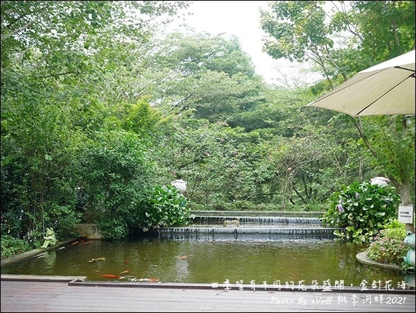 桃李河畔-12.jpg 桃李河畔-12.jpg