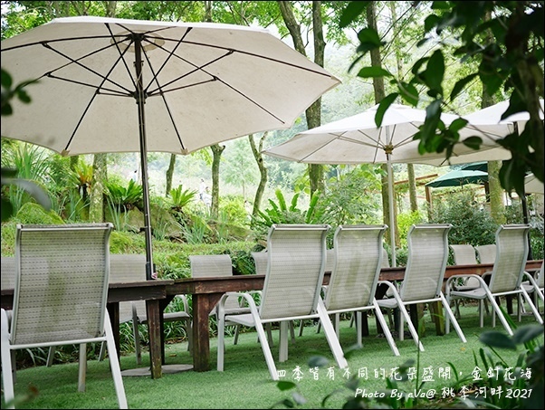 桃李河畔-19.jpg 桃李河畔-19.jpg