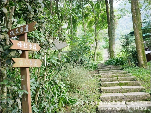 桃李河畔-38.jpg 桃李河畔-38.jpg