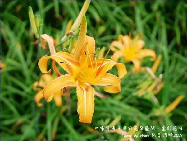 桃李河畔-45.jpg 桃李河畔-45.jpg