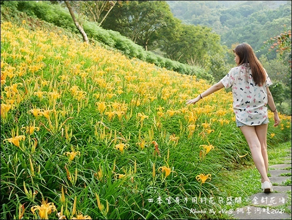 桃李河畔-50.jpg 桃李河畔-50.jpg