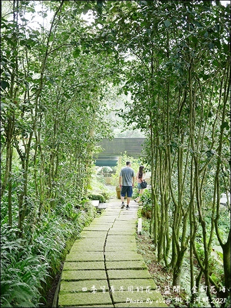 桃李河畔-39.jpg 桃李河畔-39.jpg