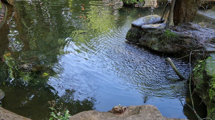 雲林旅遊景點/虎尾驛、虎尾糖廠冰品部、同心公園、虎尾鐵橋，散步休憩的好去處 - Ann‧榜哥‧生活事務所