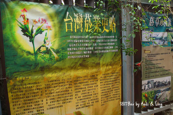 【嘉義。竹崎】充滿和風的鹿麻產車站。拍攝婚紗熱門地點。鹿滿客家文化菸樓。當地菸草歷史的典型代表