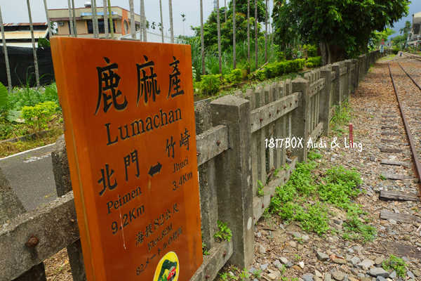 【嘉義。竹崎】充滿和風的鹿麻產車站。拍攝婚紗熱門地點。鹿滿客家文化菸樓。當地菸草歷史的典型代表