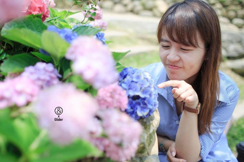 2019薰衣草節來了！薰衣草森林新竹尖石店，新竹旅遊景點！