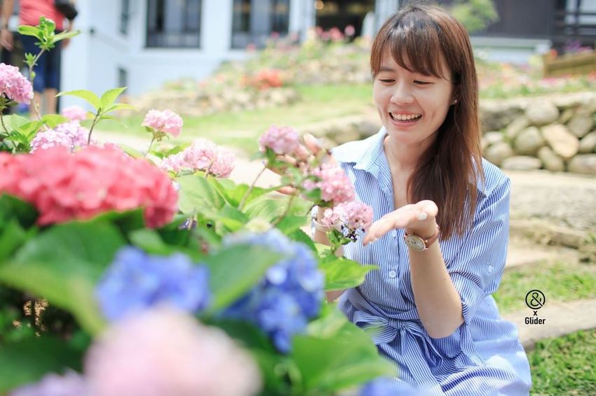 2019薰衣草節來了！薰衣草森林新竹尖石店，新竹旅遊景點！