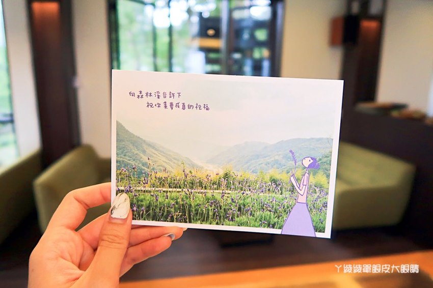 2019薰衣草節來了！薰衣草森林新竹尖石店，新竹旅遊景點！