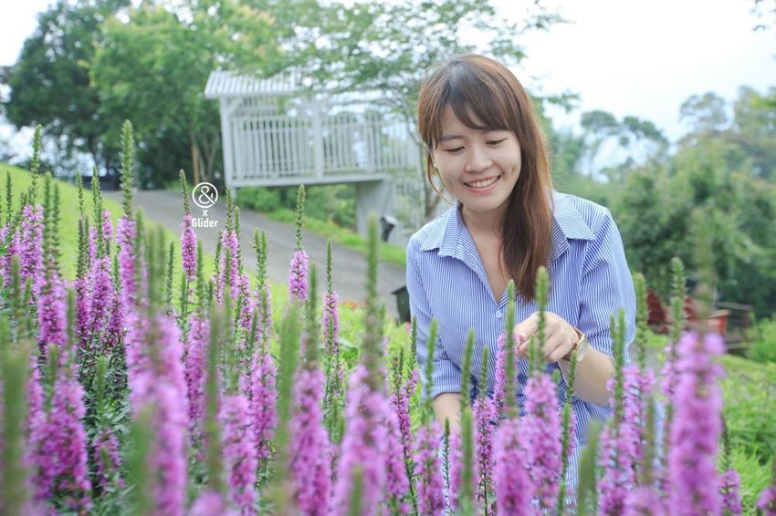 2019薰衣草節來了！薰衣草森林新竹尖石店，新竹旅遊景點！