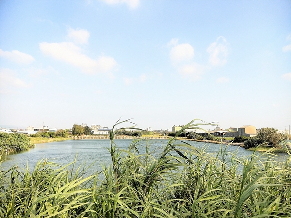 蛤蜊兵營:【彰化線西景點】蛤蜊兵營~IG網美美拍熱點,殘破不堪廢墟中締造獨特的美感