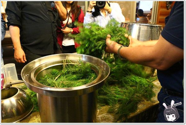 紐澳華溫泉民宿：[住宿]►花蓮玉里鎮◄紐澳華溫泉山莊－茶樹精油DIY/茶樹森林導覽