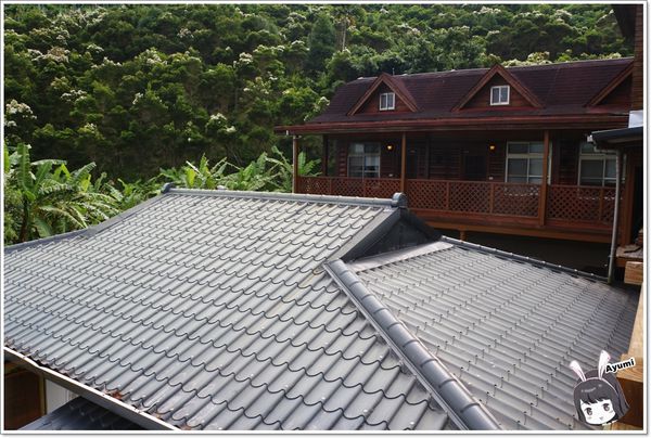 紐澳華溫泉民宿：[住宿]►花蓮玉里鎮◄紐澳華溫泉山莊－茶樹精油DIY/茶樹森林導覽