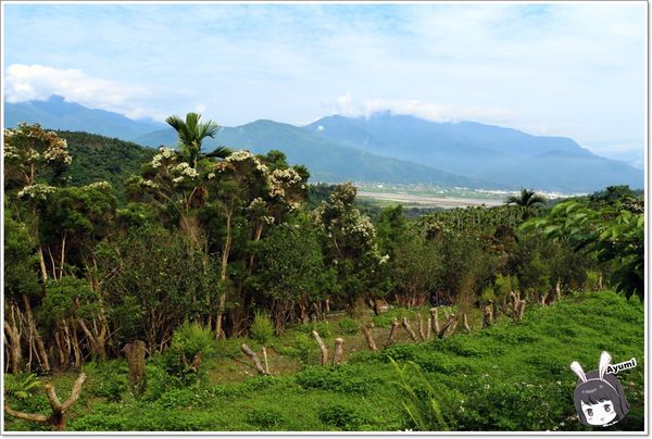 紐澳華溫泉民宿：[住宿]►花蓮玉里鎮◄紐澳華溫泉山莊－茶樹精油DIY/茶樹森林導覽