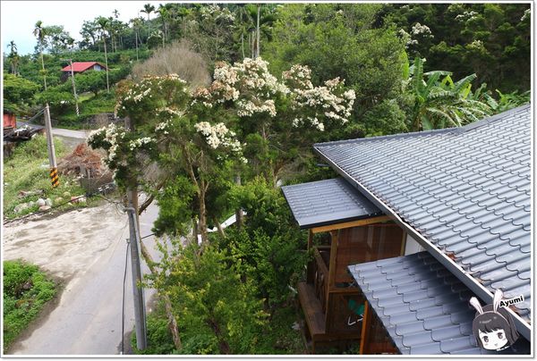 紐澳華溫泉民宿：[住宿]►花蓮玉里鎮◄紐澳華溫泉山莊－茶樹精油DIY/茶樹森林導覽