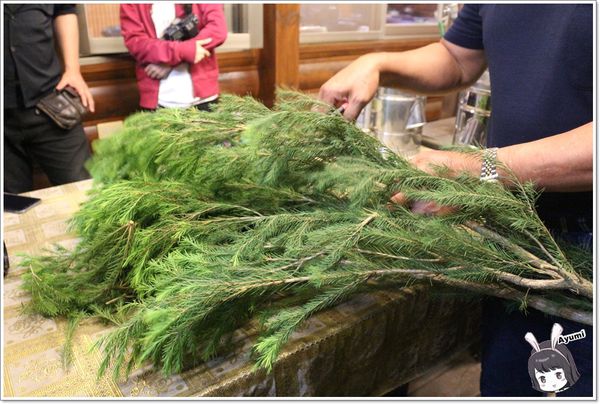 紐澳華溫泉民宿：[住宿]►花蓮玉里鎮◄紐澳華溫泉山莊－茶樹精油DIY/茶樹森林導覽