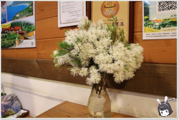紐澳華溫泉民宿：[住宿]►花蓮玉里鎮◄紐澳華溫泉山莊－茶樹精油DIY/茶樹森林導覽