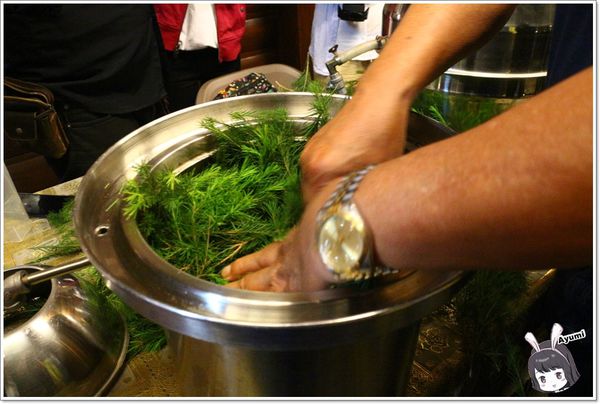 紐澳華溫泉民宿：[住宿]►花蓮玉里鎮◄紐澳華溫泉山莊－茶樹精油DIY/茶樹森林導覽