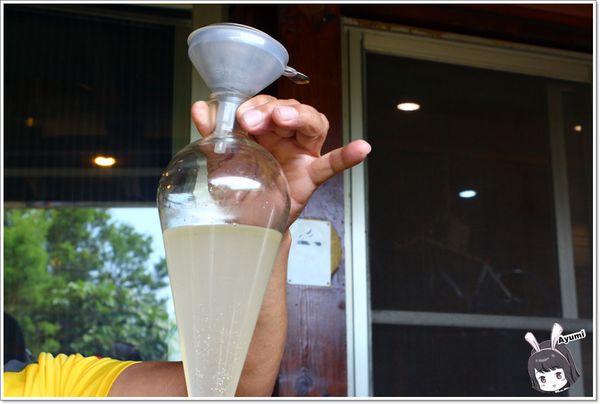 紐澳華溫泉民宿：[住宿]►花蓮玉里鎮◄紐澳華溫泉山莊－茶樹精油DIY/茶樹森林導覽