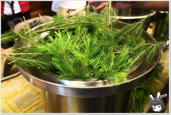 紐澳華溫泉民宿：[住宿]►花蓮玉里鎮◄紐澳華溫泉山莊－茶樹精油DIY/茶樹森林導覽