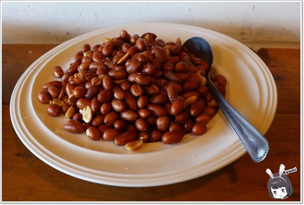 紐澳華溫泉民宿：[住宿]►花蓮玉里鎮◄紐澳華溫泉山莊－茶樹精油DIY/茶樹森林導覽