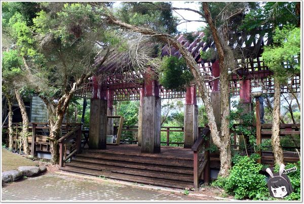 紐澳華溫泉民宿：[住宿]►花蓮玉里鎮◄紐澳華溫泉山莊－茶樹精油DIY/茶樹森林導覽