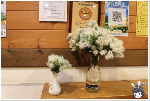 紐澳華溫泉民宿：[住宿]►花蓮玉里鎮◄紐澳華溫泉山莊－茶樹精油DIY/茶樹森林導覽