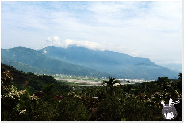 紐澳華溫泉民宿：[住宿]►花蓮玉里鎮◄紐澳華溫泉山莊－茶樹精油DIY/茶樹森林導覽