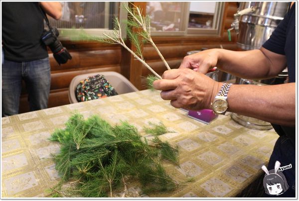 紐澳華溫泉民宿：[住宿]►花蓮玉里鎮◄紐澳華溫泉山莊－茶樹精油DIY/茶樹森林導覽