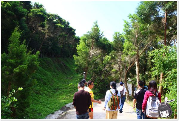 紐澳華溫泉民宿：[住宿]►花蓮玉里鎮◄紐澳華溫泉山莊－茶樹精油DIY/茶樹森林導覽